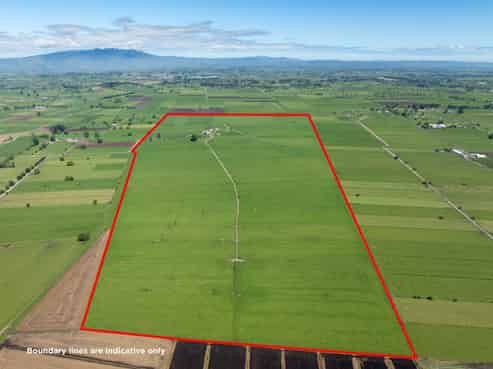 254 Muir Road, Te Awamutu