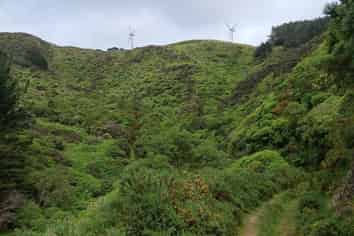 741 Makara Road, Makara