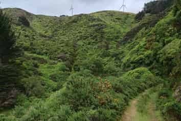 741 Makara Road, Makara