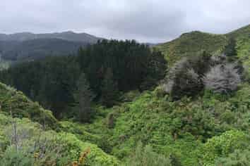 741 Makara Road, Makara