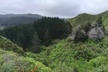 741 Makara Road, Makara