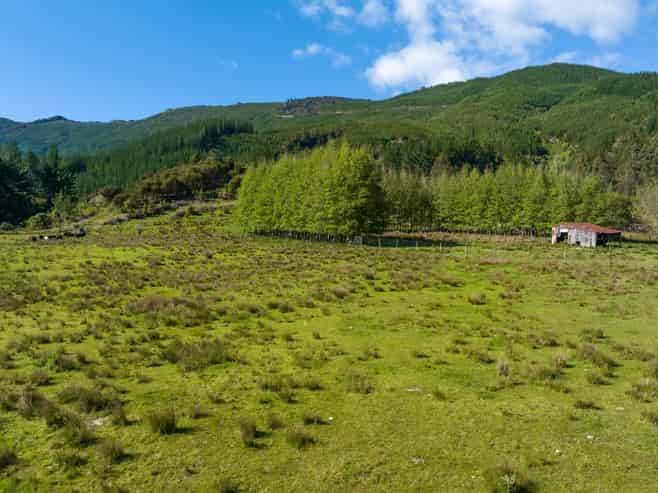 1025 Wakamarina Road, Havelock