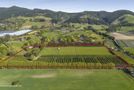 161 Paton Road, Hope, Tasman, Nelson & Bays