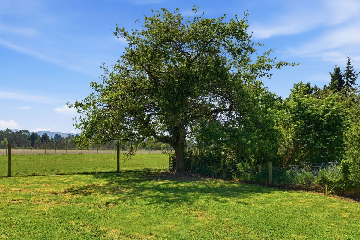 Prime 809 m² Section in the Heart of Oxford - Mehr