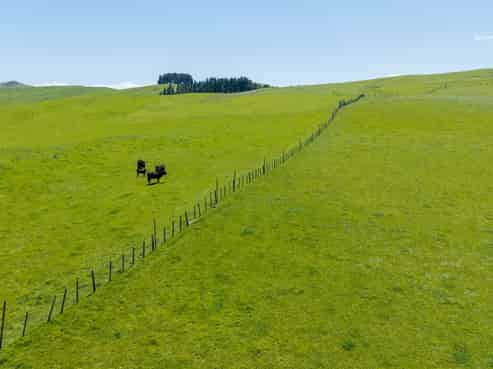 129 Speedy Road, Dannevirke