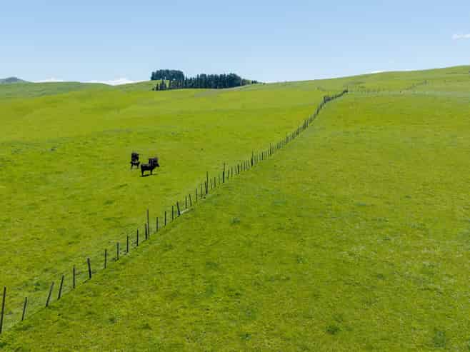 129 Speedy Road, Dannevirke