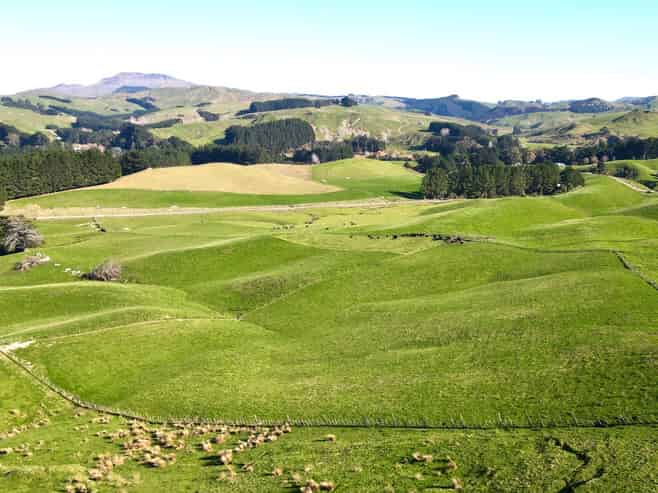 129 Speedy Road, Dannevirke