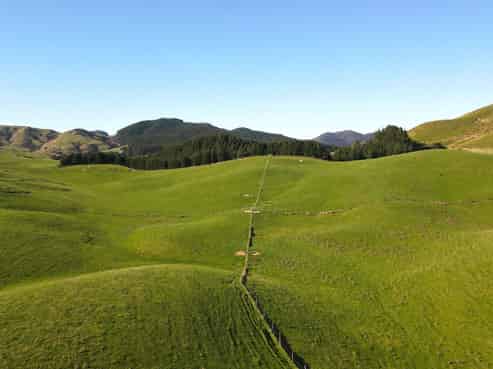 129 Speedy Road, Dannevirke