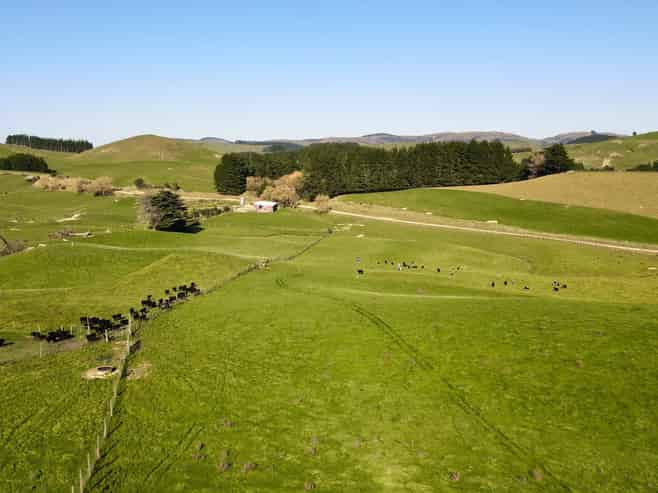 129 Speedy Road, Dannevirke