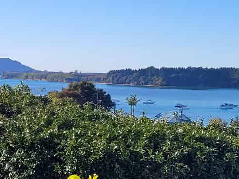 53 Coppelia Avenue, Omokoroa