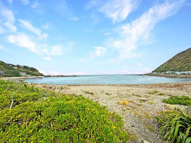 A/31 Happy Valley Road, Owhiro Bay
