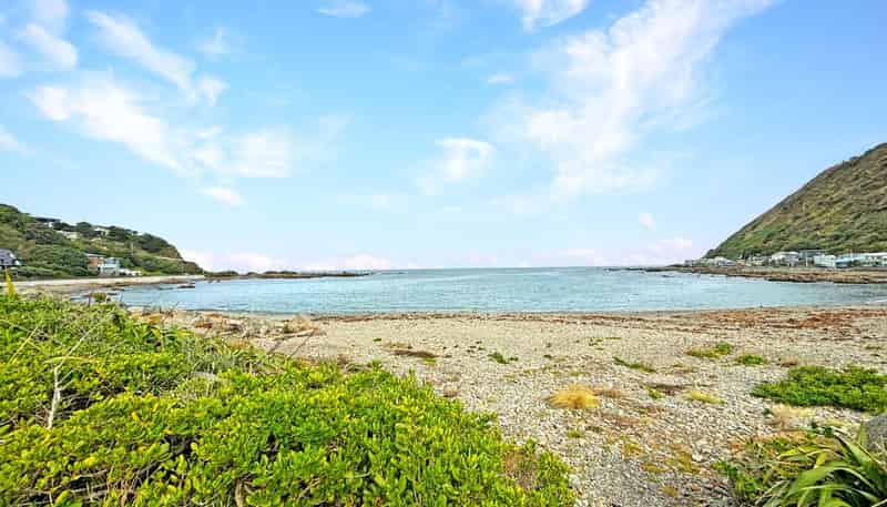 A/31 Happy Valley Road, Owhiro Bay