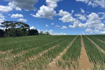 76 Brookside Road, Glenbrook