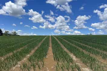 76 Brookside Road, Glenbrook