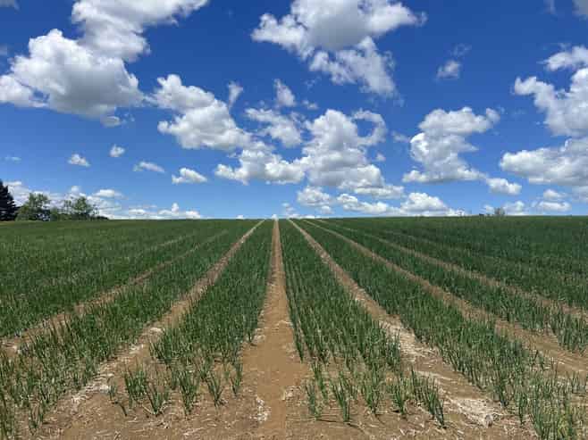 76 Brookside Road, Glenbrook