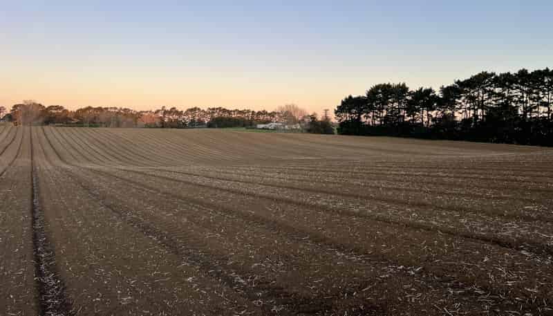 76 Brookside Road, Glenbrook