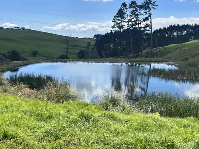 76 Brookside Road, Glenbrook