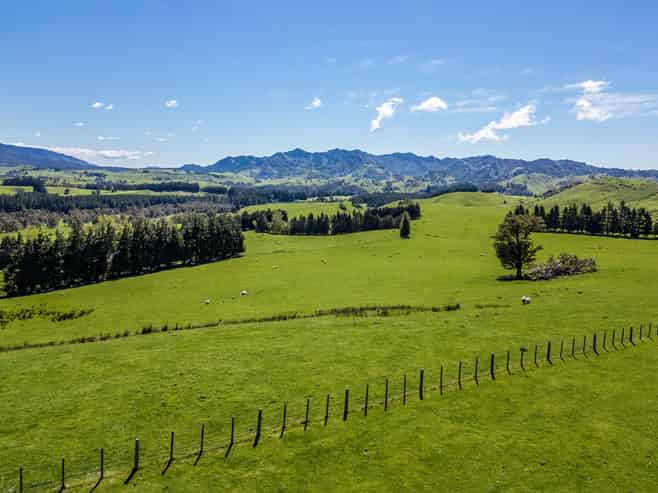 21 Carson Road, Ongaonga