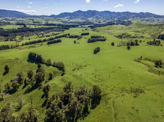 21 Carson Road, Ongaonga