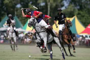 29 Bryce Street, Kihikihi