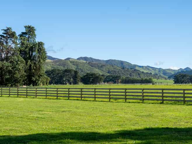 66C Thomas Road, Carrington