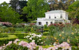 914 Napier Road, Whakarongo