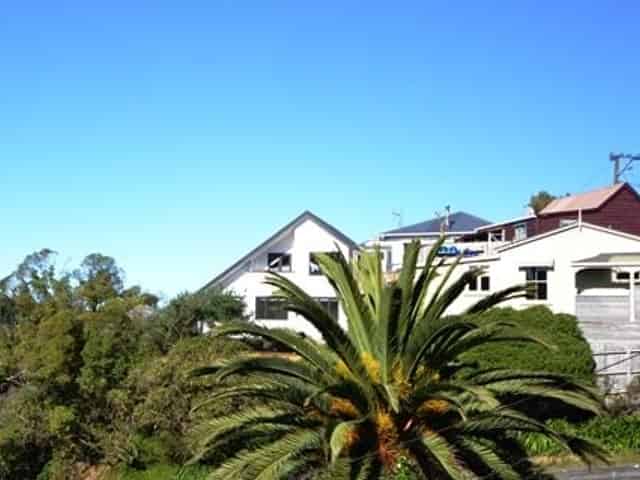 39 McColl Street, Vogeltown