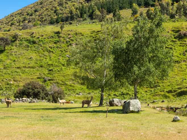 1067 Taylor Pass Road, Blenheim