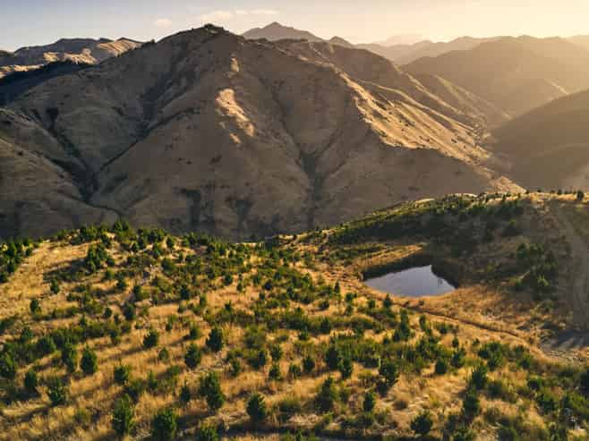 1067 Taylor Pass Road, Blenheim