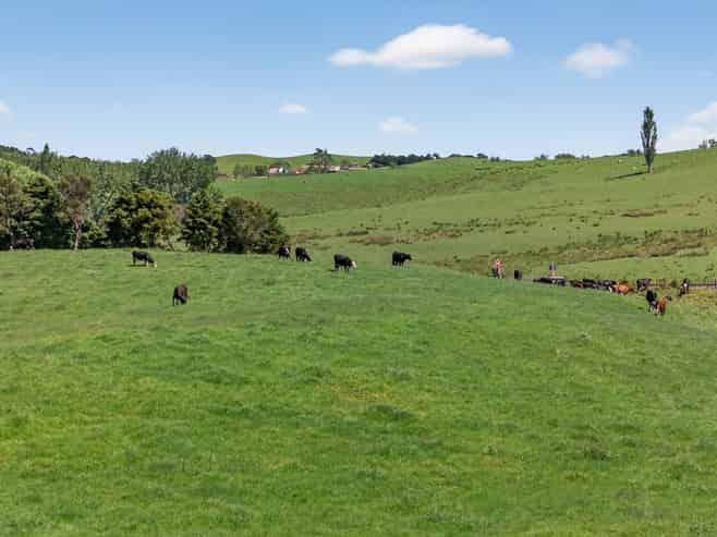136 Ranganui Road, Kaiwaka