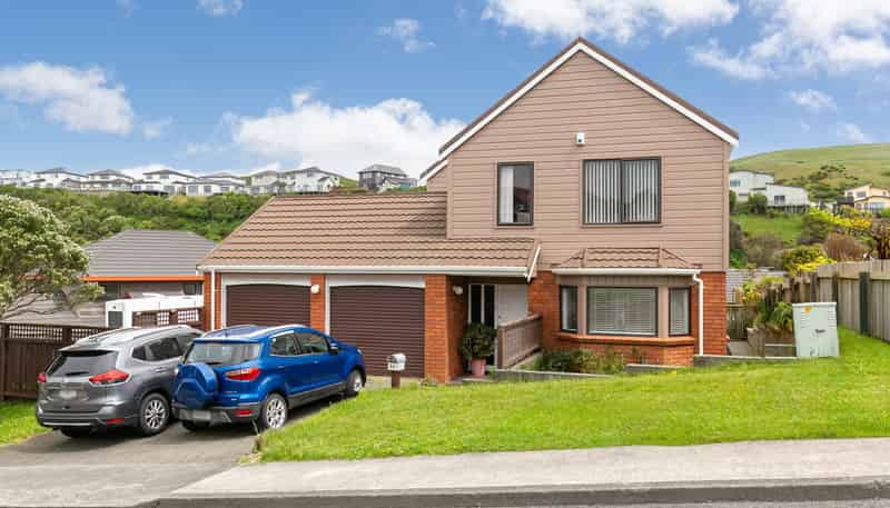 56 Erris Street, Johnsonville