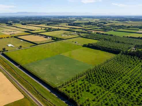 Live, Landbank or Develop