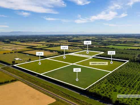 Live, Landbank or Develop