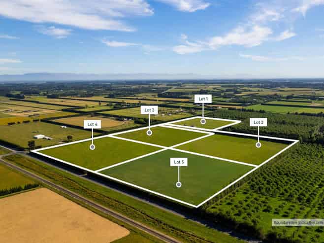 Live, Landbank or Develop