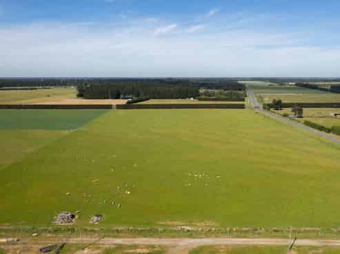 Live, Landbank or Develop