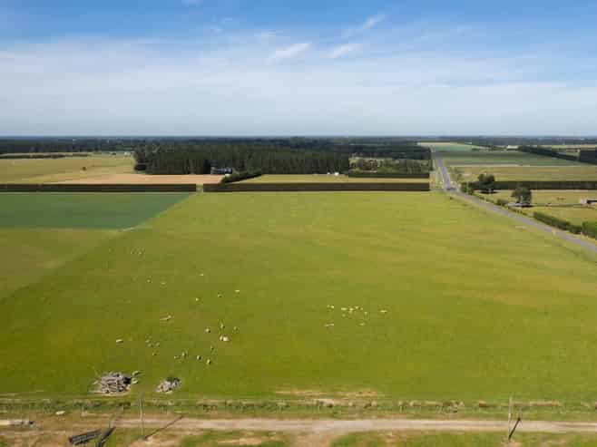 Live, Landbank or Develop