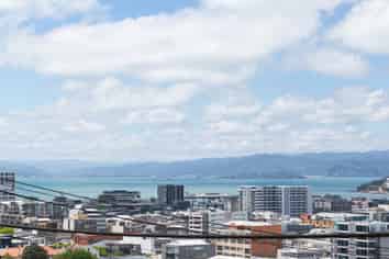 11 Maarama Crescent, Aro Valley