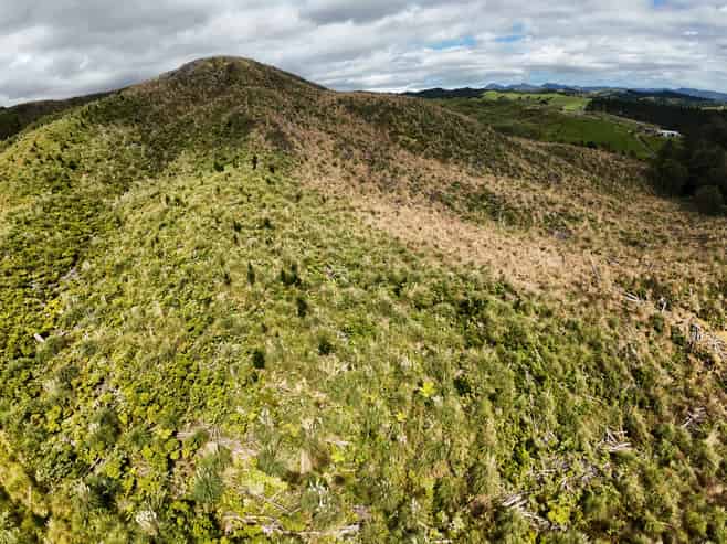 Lot 23 Waiotehue Road, Herekino