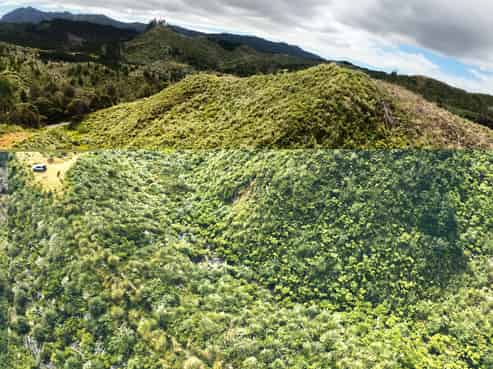 Lot 23 Waiotehue Road, Herekino