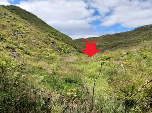 Lot 23 Waiotehue Road, Herekino