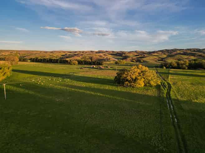 109 Ida Valley - Omakau Road, Ophir