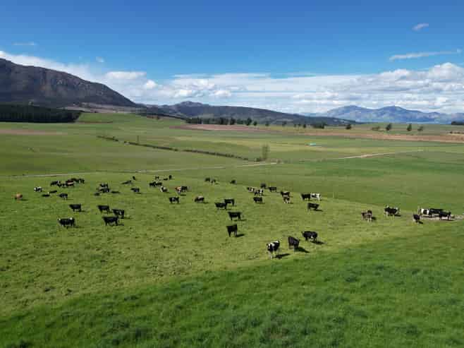 412 Gallagher Road, Mossburn