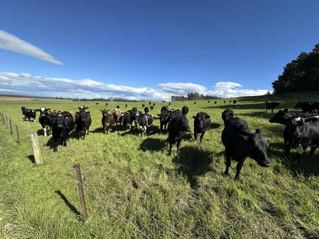 412 Gallagher Road, Mossburn