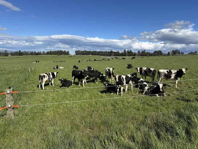 412 Gallagher Road, Mossburn