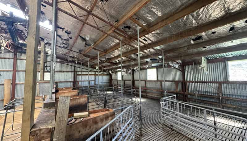 387 Kyeburn-Hyde Road, Kyeburn