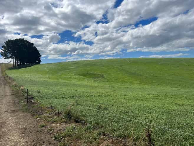 381 Island Stream Road, Maheno