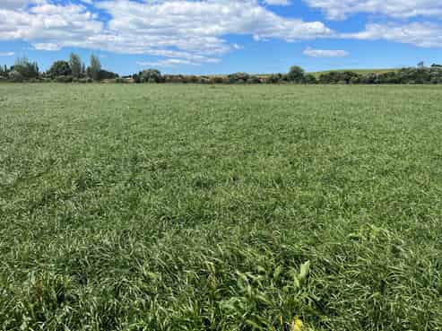 381 Island Stream Road, Maheno