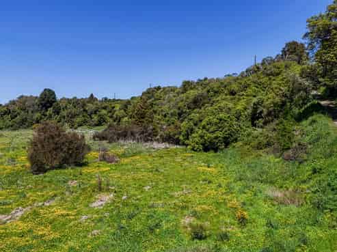 2096 State Highway 2, Kiriwhakapapa