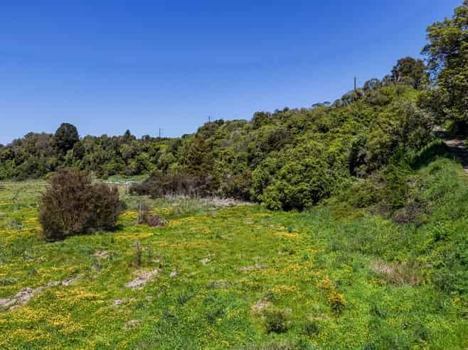 2096 State Highway 2, Kiriwhakapapa