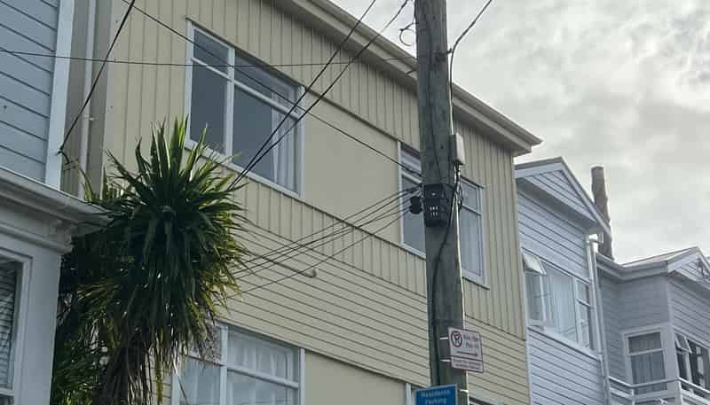 a/24 Owen Street, Newtown